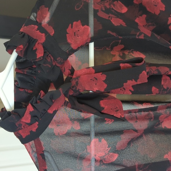 Zara Sheer Blouse With Bow - Picture 5 of 7